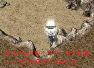 ����˽��������׬Ǯ����δ���������ӯ���������Ϸ������