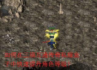 如何在三端互通传奇私服盒子中快速提升角色等级? 如何在三端互通传奇私服盒子中快速提升角色等级?