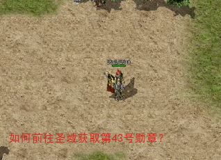 如何前往圣域获取第43号勋章? 如何前往圣域获取第43号勋章?