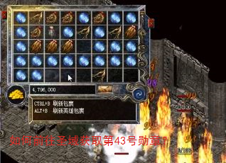 如何前往圣域获取第43号勋章? 如何前往圣域获取第43号勋章?