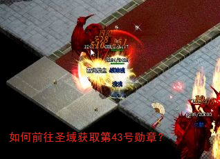 如何前往圣域获取第43号勋章? 如何前往圣域获取第43号勋章?