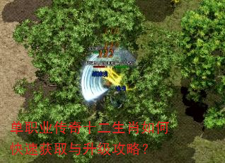 单职业传奇十二生肖如何快速获取与升级攻略? 单职业传奇十二生肖如何快速获取与升级攻略?