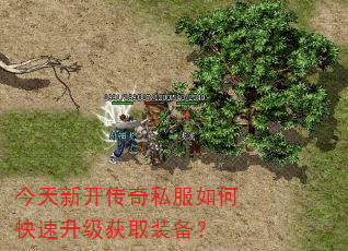 今天新开传奇私服如何快速升级获取装备? 今天新开传奇私服如何快速升级获取装备?