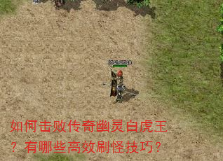 如何击败传奇幽灵白虎王?有哪些高效刷怪技巧? 如何击败传奇幽灵白虎王?有哪些高效刷怪技巧?