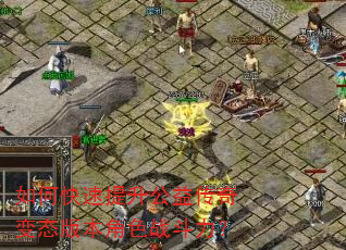 如何快速提升公益传奇变态版本角色战斗力? 如何快速提升公益传奇变态版本角色战斗力?