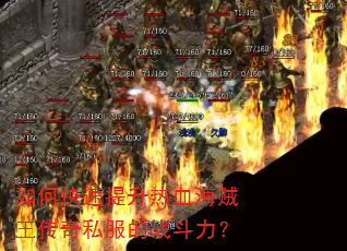 如何快速提升热血海贼王传奇私服的战斗力? 如何快速提升热血海贼王传奇私服的战斗力?