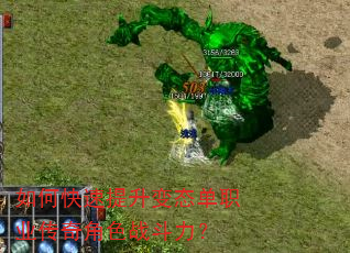 如何快速提升变态单职业传奇角色战斗力? 如何快速提升变态单职业传奇角色战斗力?