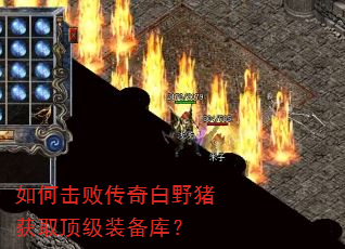 如何击败传奇白野猪获取顶级装备库? 如何击败传奇白野猪获取顶级装备库?