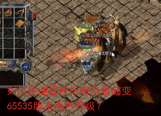 如何快速提升传奇私服超变65535版本角色等级? 如何快速提升传奇私服超变65535版本角色等级?