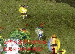 如何快速提升新传奇私服外传角色等级? 如何快速提升新传奇私服外传角色等级?