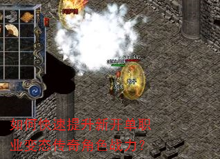如何快速提升新开单职业变态传奇角色战力? 如何快速提升新开单职业变态传奇角色战力?