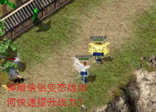 神雕侠侣变态版如何快速提升战力? 神雕侠侣变态版如何快速提升战力?