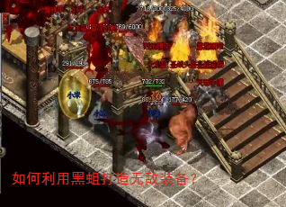 如何利用黑蛆打造无敌装备? 如何利用黑蛆打造无敌装备?