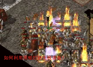 如何利用黑蛆打造无敌装备? 如何利用黑蛆打造无敌装备?