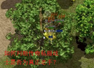 如何判断传奇私服战士是否为真正老手? 如何判断传奇私服战士是否为真正老手?
