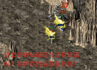 热血传奇私服现在还有玩家吗?如何寻找活跃服务器? 热血传奇私服现在还有玩家吗?如何寻找活跃服务器?