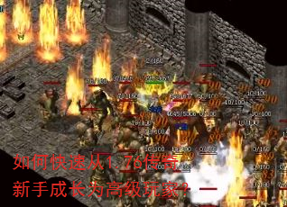 如何快速从1.76传奇新手成长为高级玩家? 如何快速从1.76传奇新手成长为高级玩家?