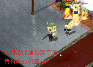 如何选择适合新手的传奇私服公益服? 如何选择适合新手的传奇私服公益服?