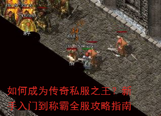 如何成为传奇私服之王?新手入门到称霸全服攻略指南 如何成为传奇私服之王?新手入门到称霸全服攻略指南