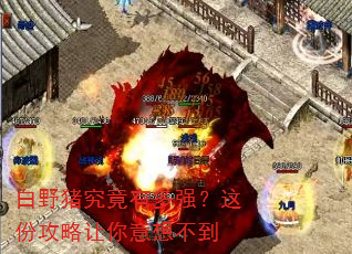 白野猪究竟有多强?这份攻略让你意想不到 白野猪究竟有多强?这份攻略让你意想不到