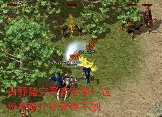 白野猪究竟有多强?这份攻略让你意想不到 白野猪究竟有多强?这份攻略让你意想不到
