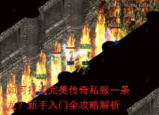��δ�����������˽��һ��������������ȫ���Խ���
