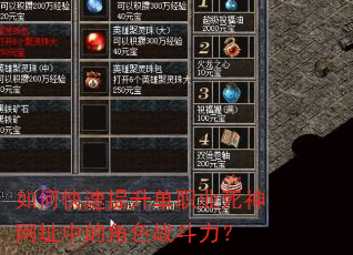 如何快速提升单职业死神网址中的角色战斗力? 如何快速提升单职业死神网址中的角色战斗力?