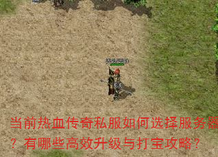 当前热血传奇私服如何选择服务器?有哪些高效升级与打宝攻略? 当前热血传奇私服如何选择服务器?有哪些高效升级与打宝攻略?