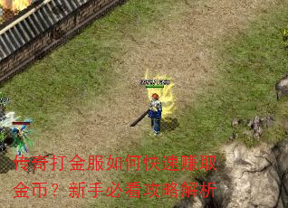 传奇打金服如何快速赚取金币?新手必看攻略解析 传奇打金服如何快速赚取金币?新手必看攻略解析