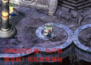 传奇战犯直播:如何称霸全服?顶级攻略揭秘 传奇战犯直播:如何称霸全服?顶级攻略揭秘