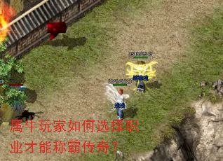 属牛玩家如何选择职业才能称霸传奇? 属牛玩家如何选择职业才能称霸传奇?