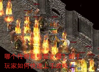 哪个传奇私服最火爆?新手玩家如何快速上手攻略? 哪个传奇私服最火爆?新手玩家如何快速上手攻略?
