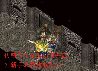 传奇简单辅助如何开启?新手必看攻略指南 传奇简单辅助如何开启?新手必看攻略指南