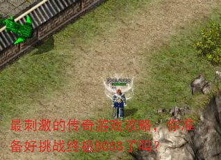 最刺激的传奇游戏攻略,你准备好挑战终极BOSS了吗? 最刺激的传奇游戏攻略,你准备好挑战终极BOSS了吗?