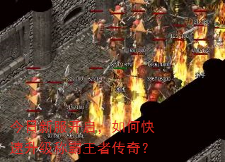 今日新服开启,如何快速升级称霸王者传奇? 今日新服开启,如何快速升级称霸王者传奇?