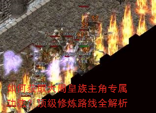 如何获取大周皇族主角专属功法?顶级修炼路线全解析 如何获取大周皇族主角专属功法?顶级修炼路线全解析