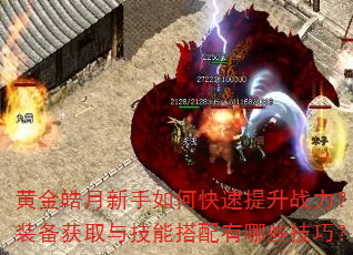 黄金皓月新手如何快速提升战力?装备获取与技能搭配有哪些技巧? 黄金皓月新手如何快速提升战力?装备获取与技能搭配有哪些技巧?