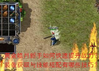 黄金皓月新手如何快速提升战力?装备获取与技能搭配有哪些技巧? 黄金皓月新手如何快速提升战力?装备获取与技能搭配有哪些技巧?