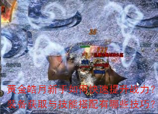 黄金皓月新手如何快速提升战力?装备获取与技能搭配有哪些技巧? 黄金皓月新手如何快速提升战力?装备获取与技能搭配有哪些技巧?