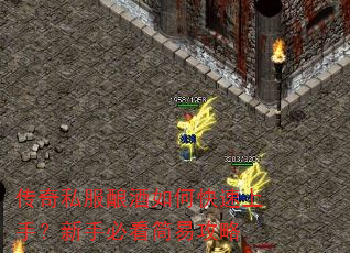 传奇私服酿酒如何快速上手?新手必看简易攻略 传奇私服酿酒如何快速上手?新手必看简易攻略