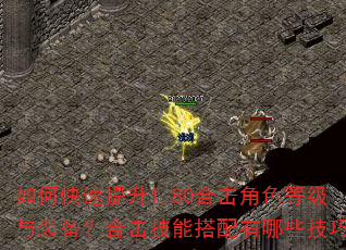 如何快速提升1.80合击角色等级与装备?合击技能搭配有哪些技巧? 如何快速提升1.80合击角色等级与装备?合击技能搭配有哪些技巧?