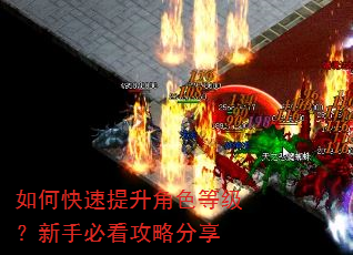 如何快速提升角色等级?新手必看攻略分享 如何快速提升角色等级?新手必看攻略分享