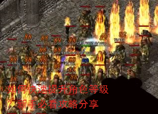 如何快速提升角色等级?新手必看攻略分享 如何快速提升角色等级?新手必看攻略分享