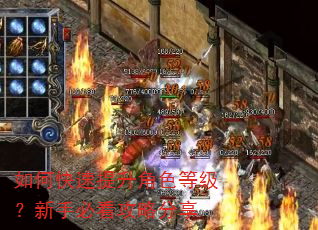 如何快速提升角色等级?新手必看攻略分享 如何快速提升角色等级?新手必看攻略分享