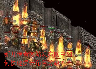 新开传奇网站发布网中如何快速提升角色等级? 新开传奇网站发布网中如何快速提升角色等级?
